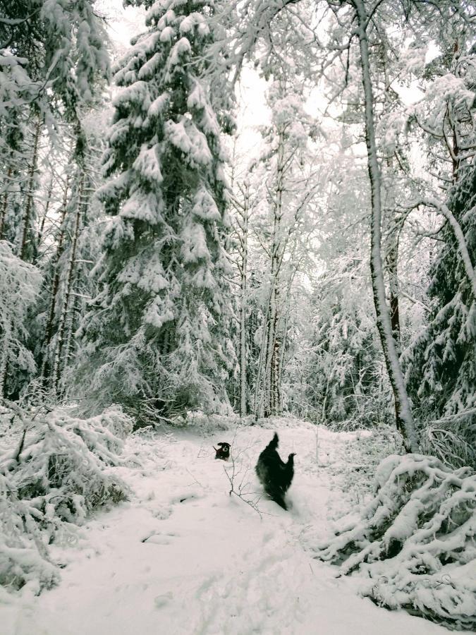 Stuga Glaskogen Glava Exteriör bild